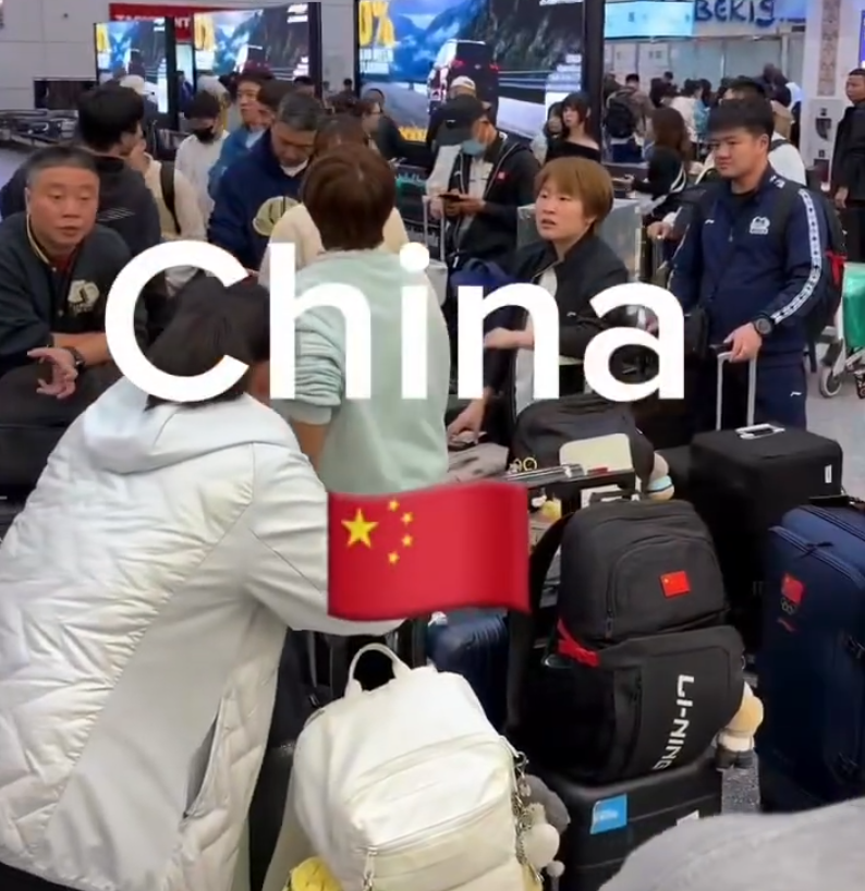 1xbet介绍图片