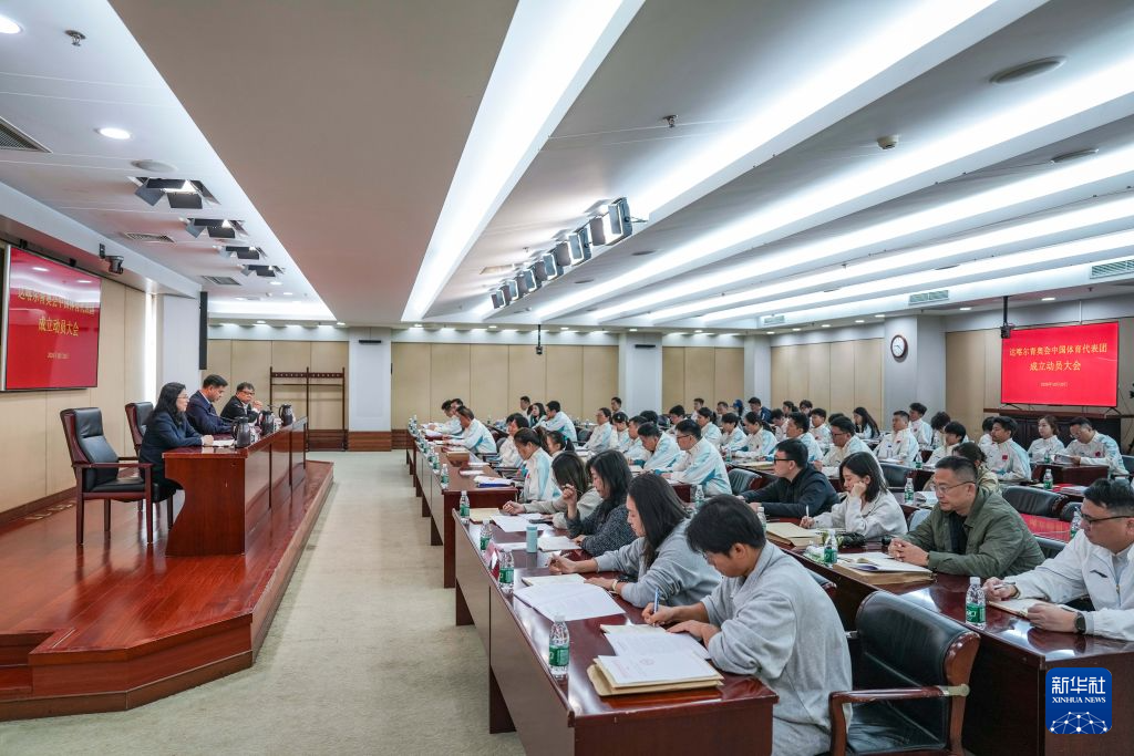 1xbet展示图片